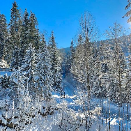 Haus Widmann Leilighet Scheffau am Wilden Kaiser Eksteriør bilde