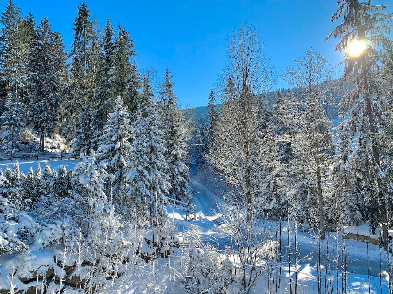 Haus Widmann Leilighet Scheffau am Wilden Kaiser Eksteriør bilde
